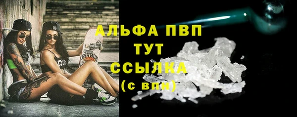 PSILOCYBIN Елабуга