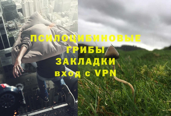 PSILOCYBIN Елабуга
