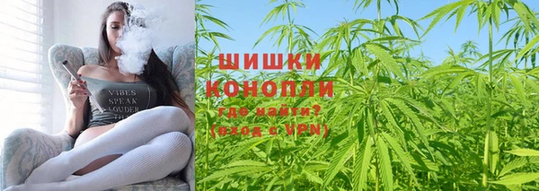 стаф Струнино