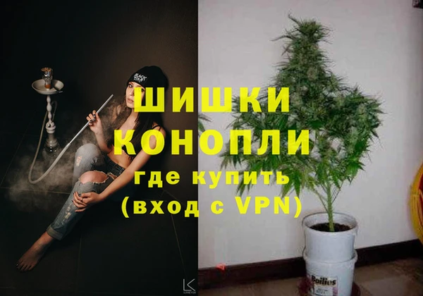 PSILOCYBIN Елабуга