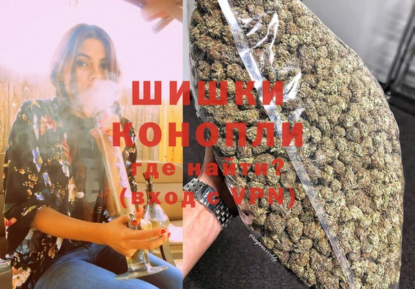 гидропоника Дмитриев