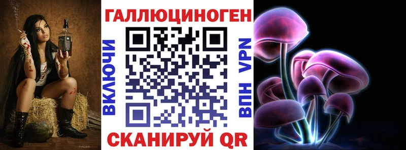 Галлюциногенные грибы Psilocybe Ершов