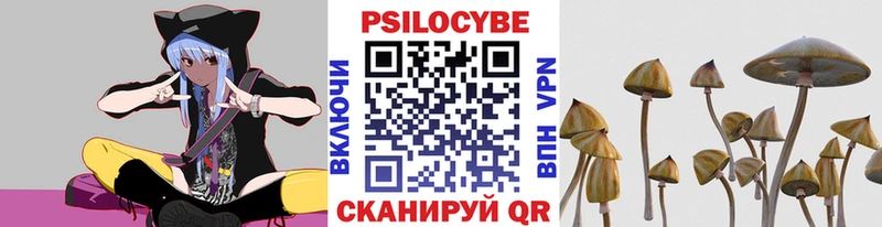 купить наркотики сайты Ершов Галлюциногенные грибы мицелий